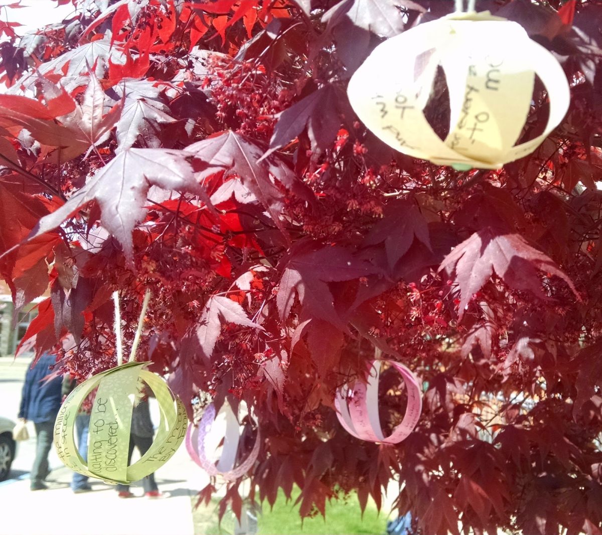 Poetry attached to a tree.