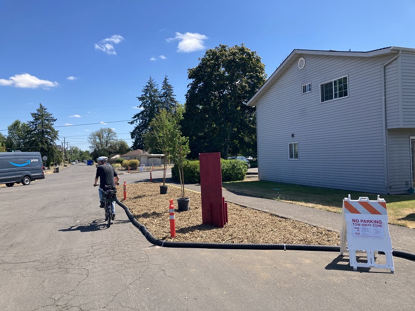 A cyclist rides past a temporary curb extension with potted trees.