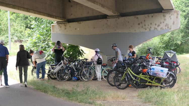Bicycle racks under the overpass